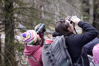 Birding in Mindo for Beginners: Where to Start (2026 Guide)