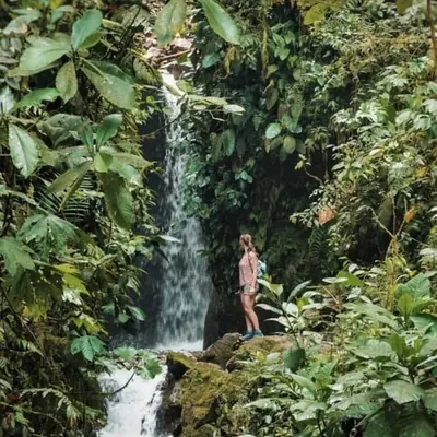 2 Days in Mindo: Birding, Waterfalls & Cloud Forest
