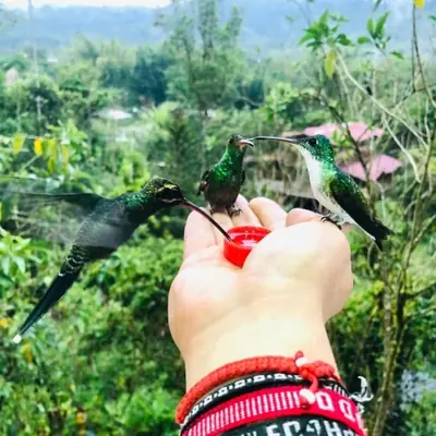 Photography Programs from the Lodge: Birds & Nature