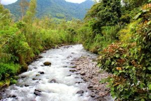 Mindo Ecuador birding