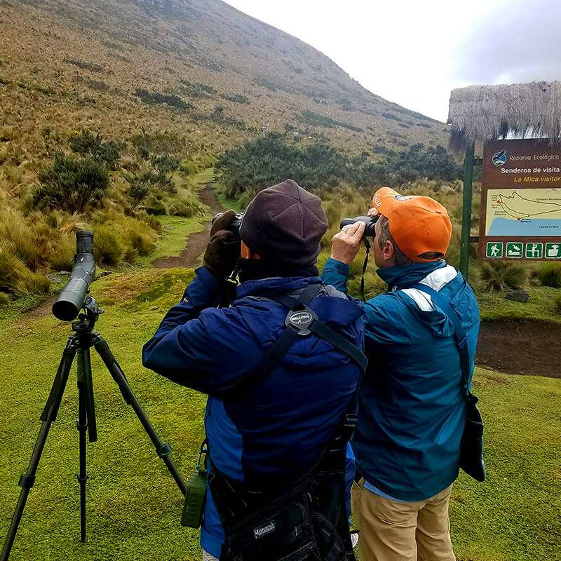 bird watching tours ecuador