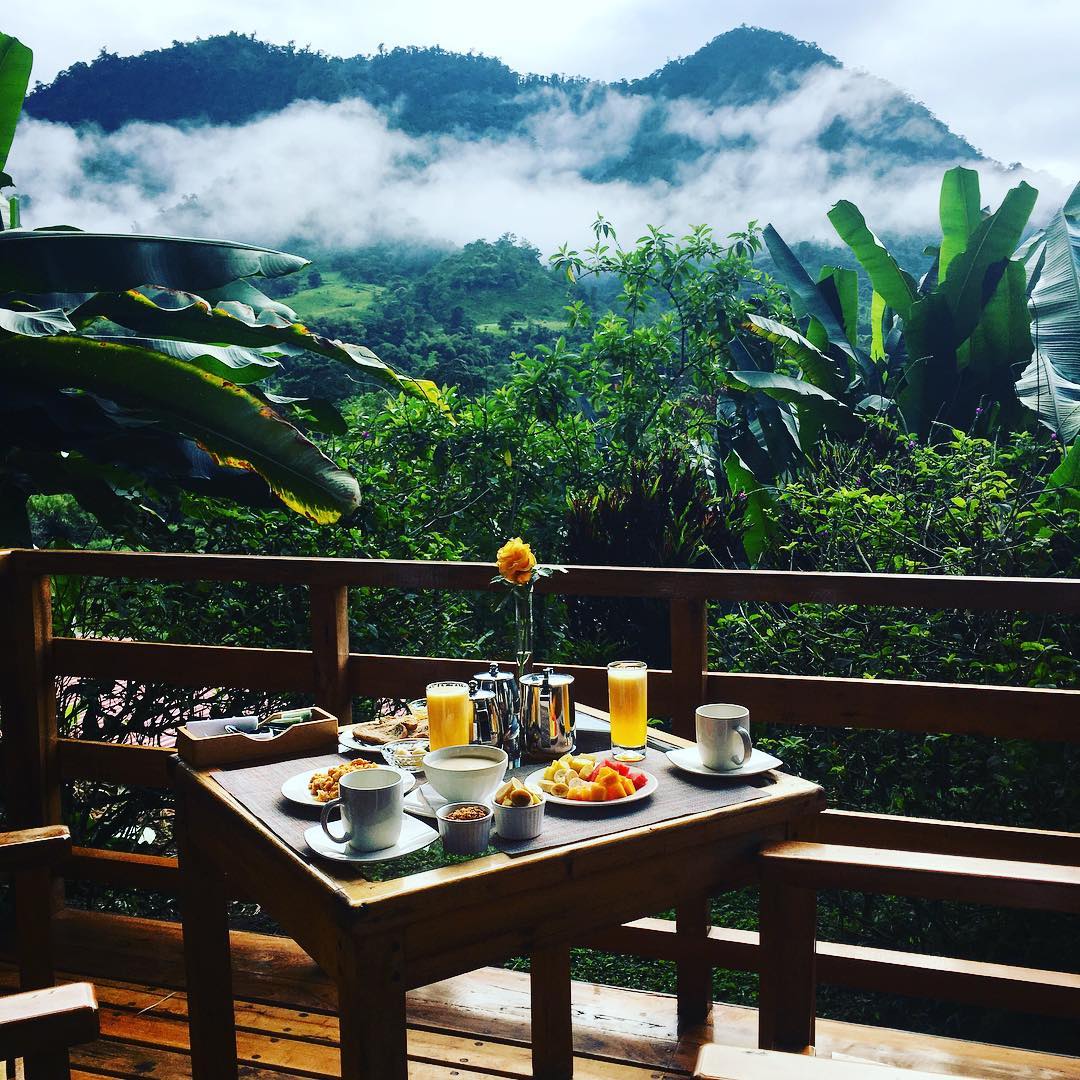 gracieogram 26868668 1995752487359499 7803804484177494016 n - Mindo Ecuador Breakfast