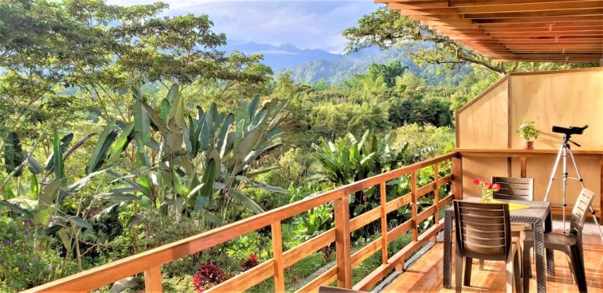Terrace View Pequeño - Birdwatching in Ecuador