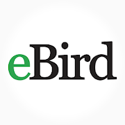 eBird Mindo Ecuador