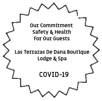 Covid-19 Safety