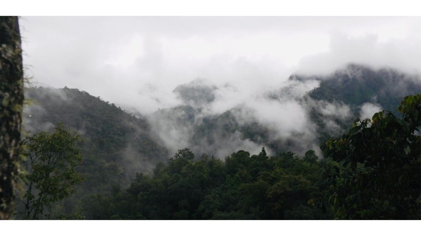Ecuador Cloud Forest