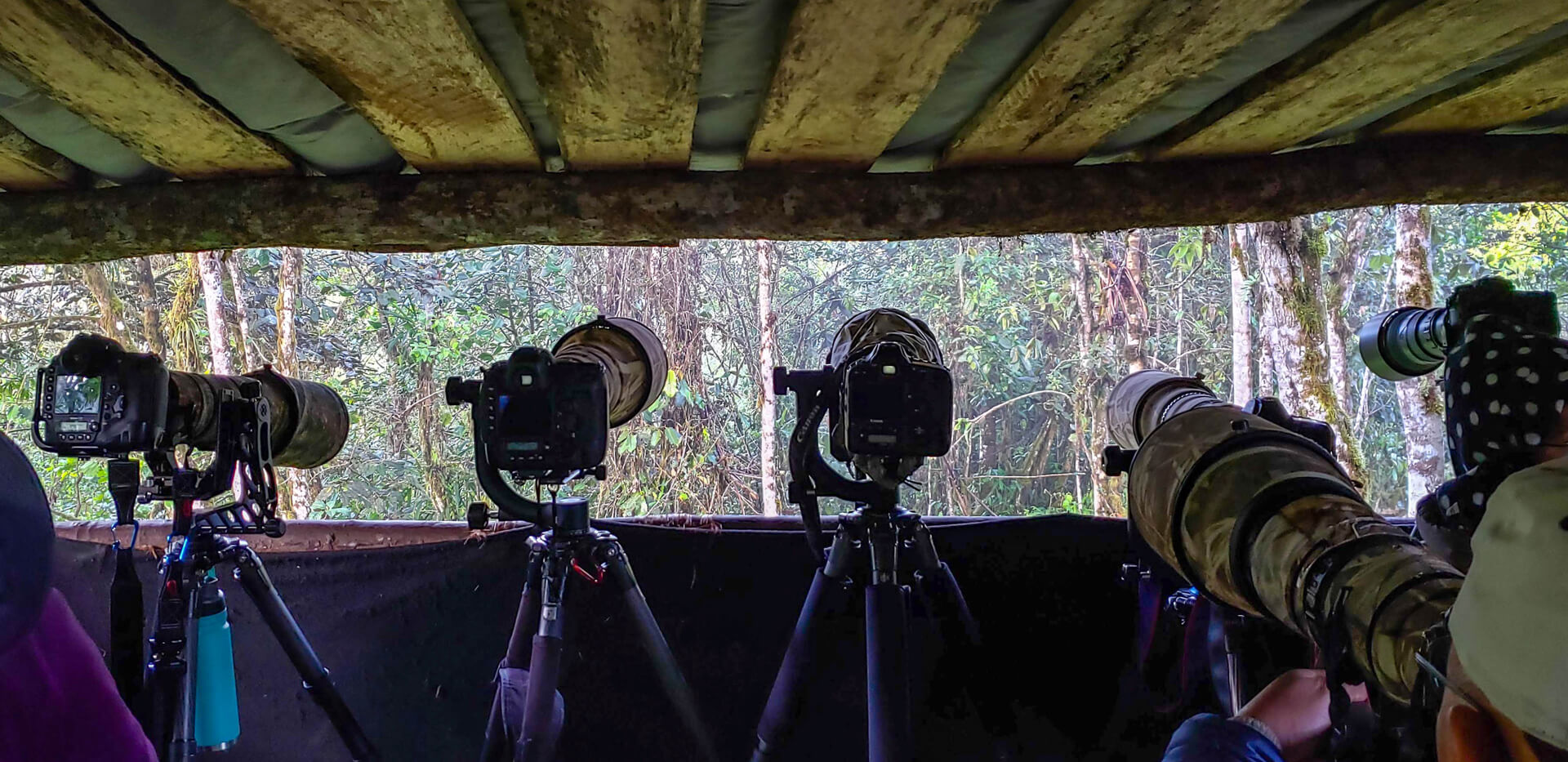 62cbb1f8 e767 47c4 a096 9419dcd3e99d -