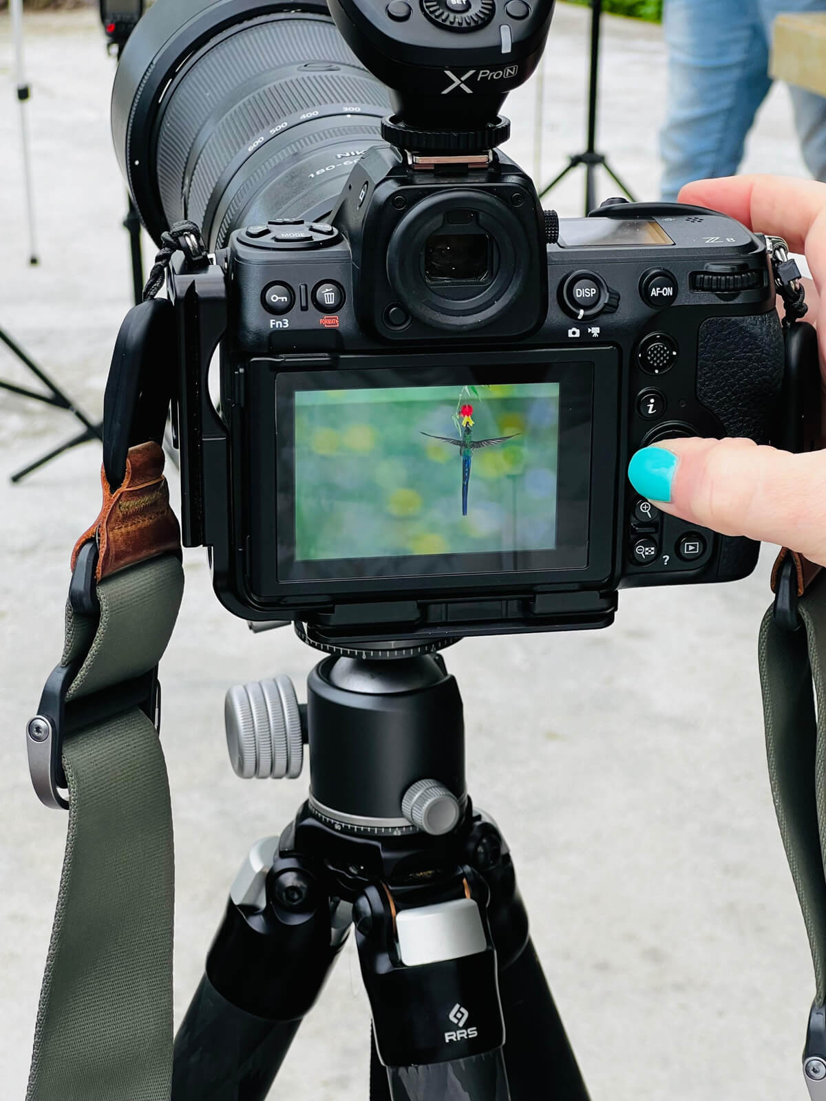 77bb96c0 c256 4902 acfa 48889b4fe276 -