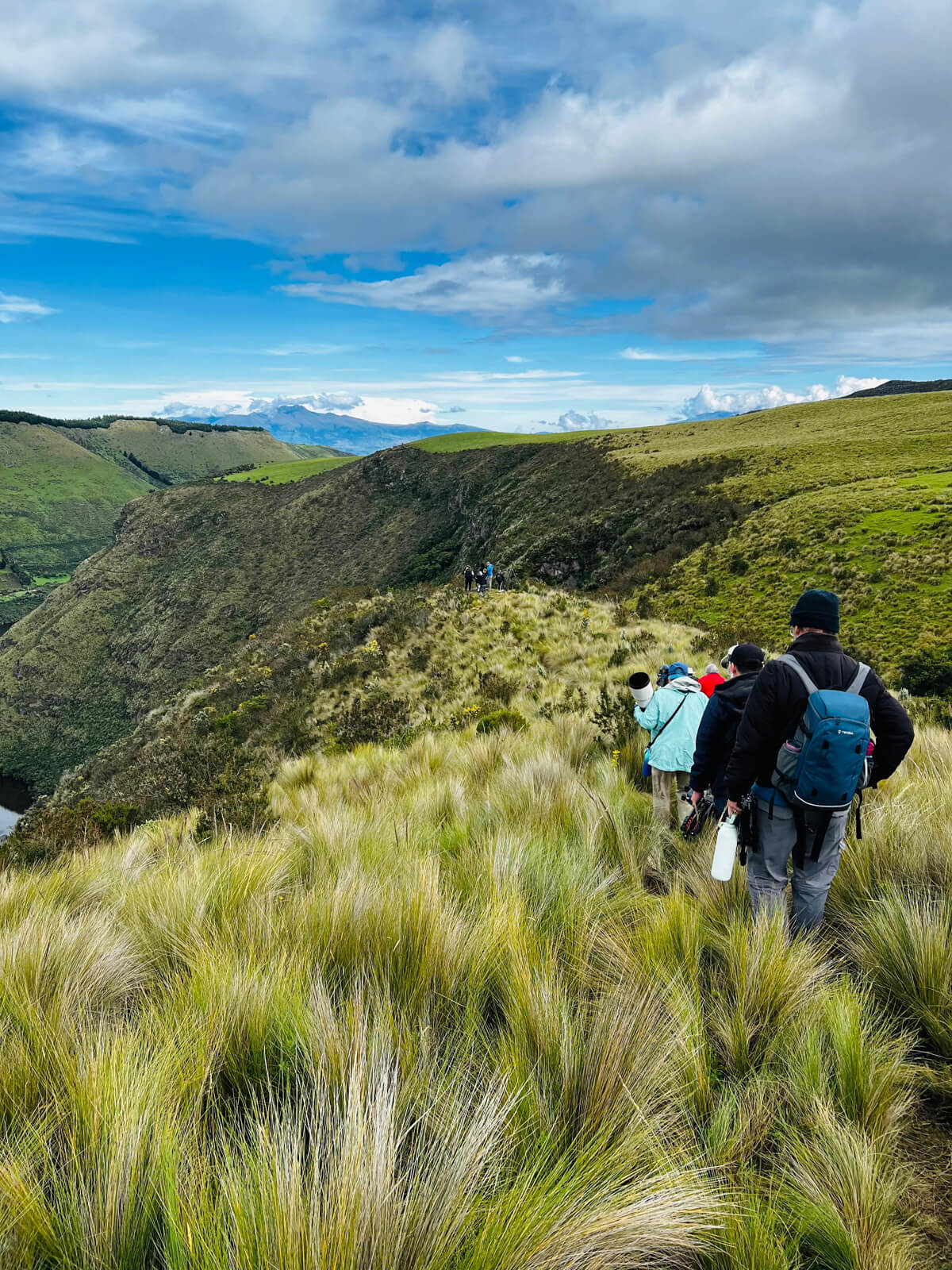 83990ed7 af60 4cad 9b79 7f43c07a4c2f -